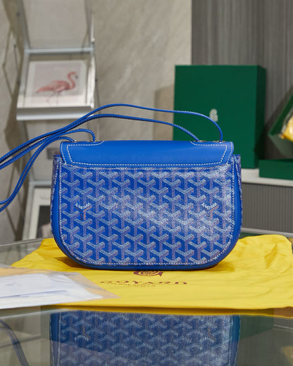 Goyard (233 bag)