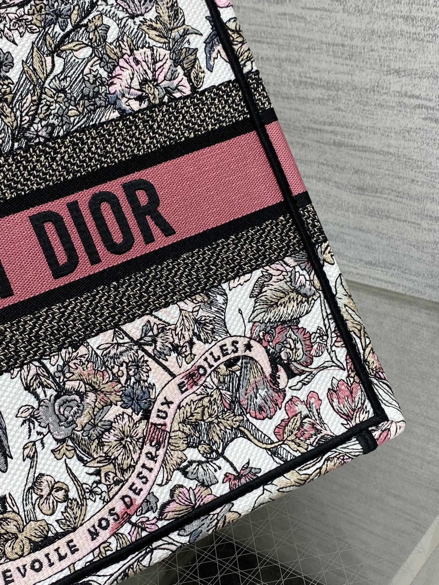 Dior (Book tote)