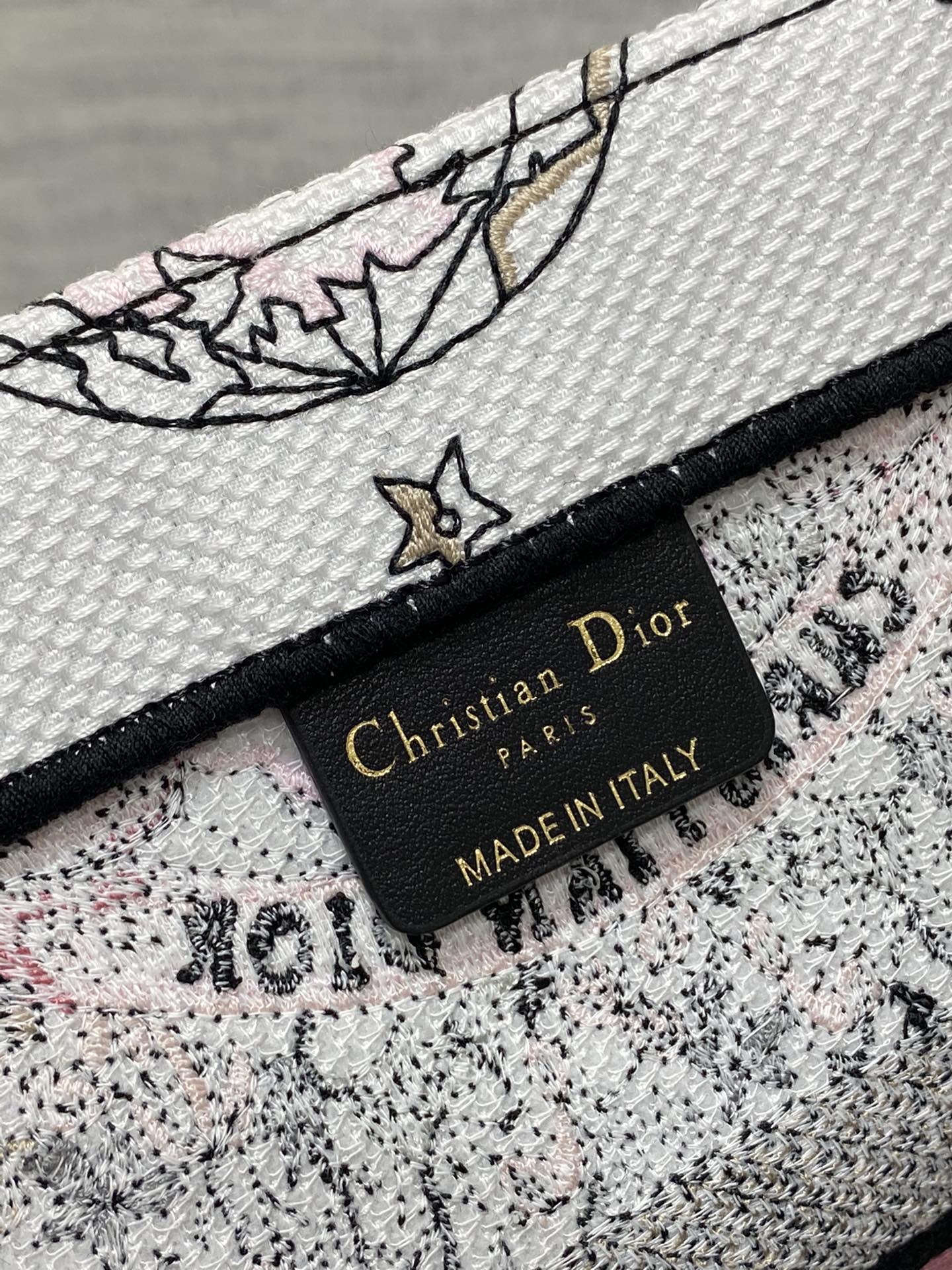 Dior (Book tote)