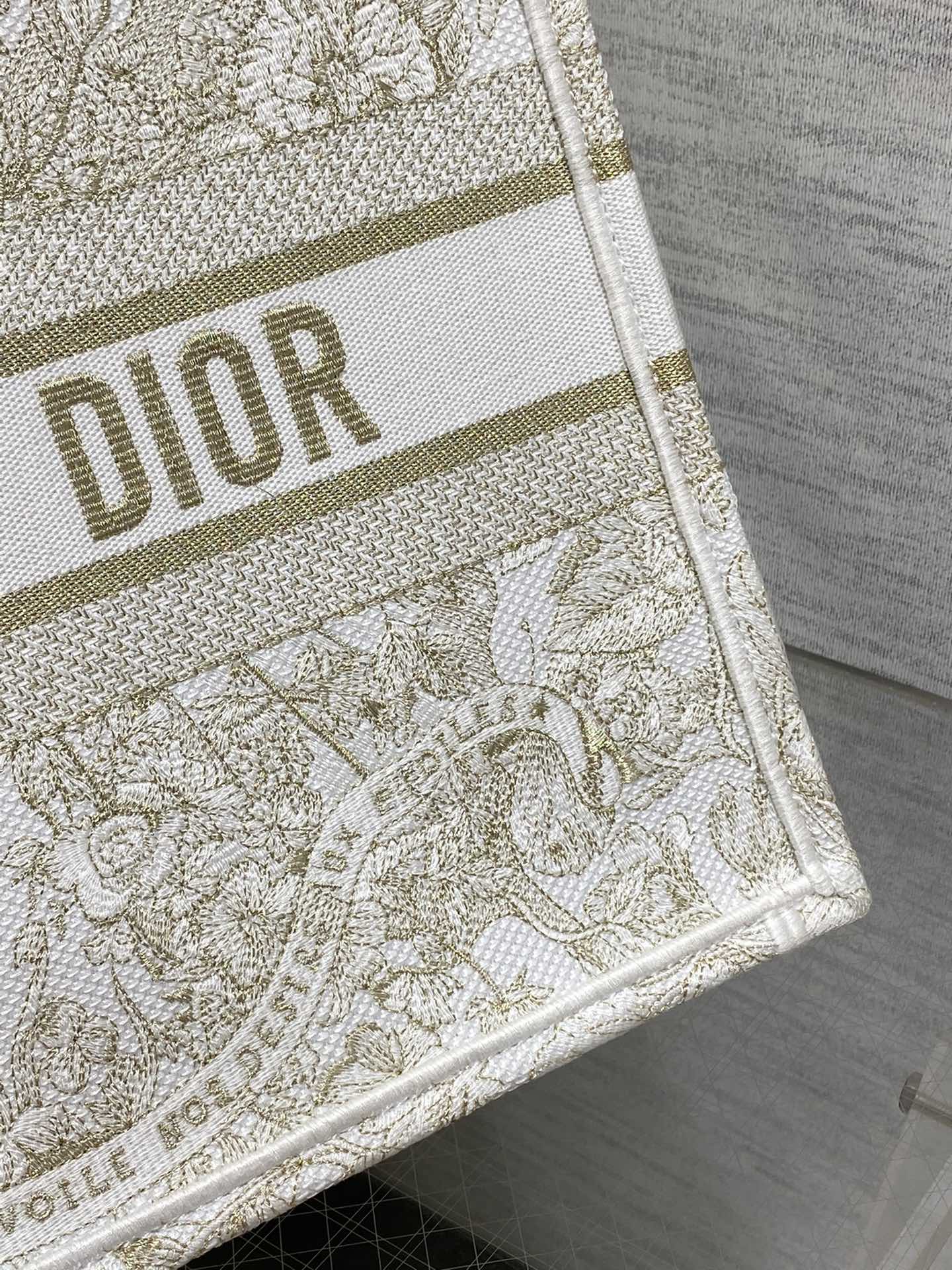 Dior (Book tote)