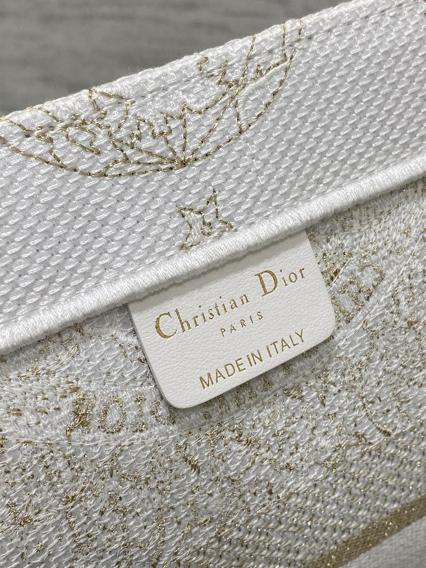 Dior (Book tote)