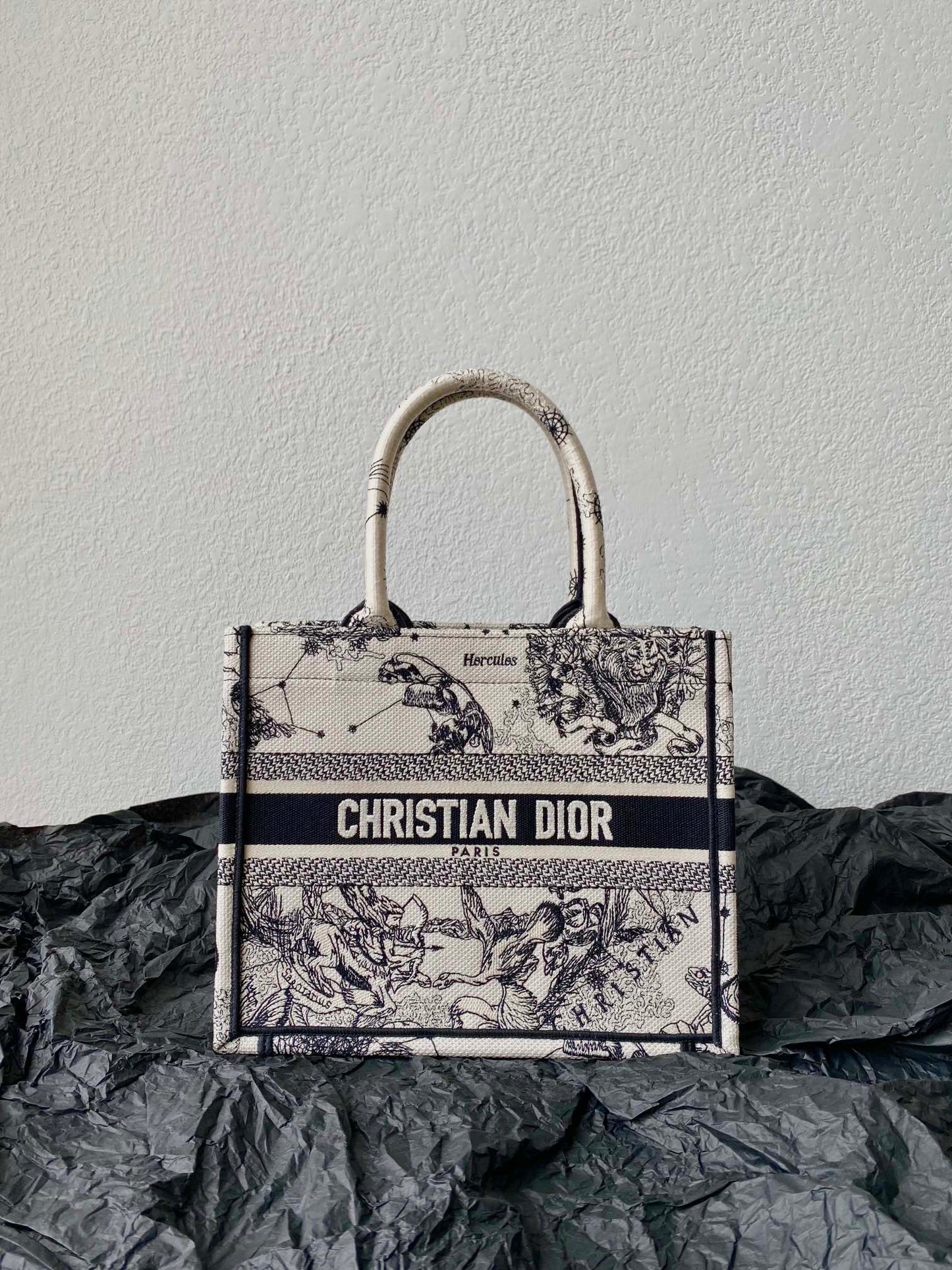 Dior (Book tote)