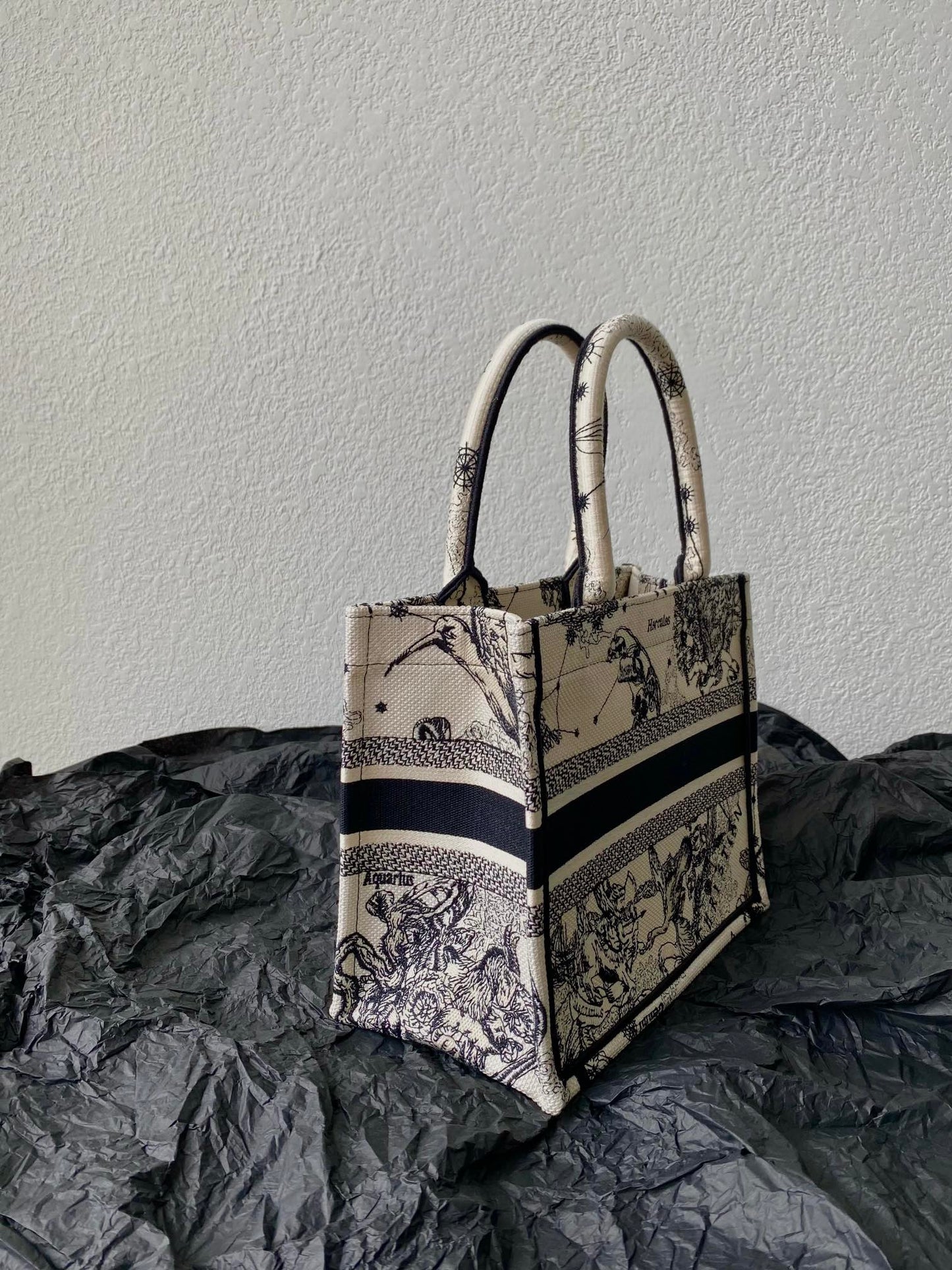 Dior (Book tote)