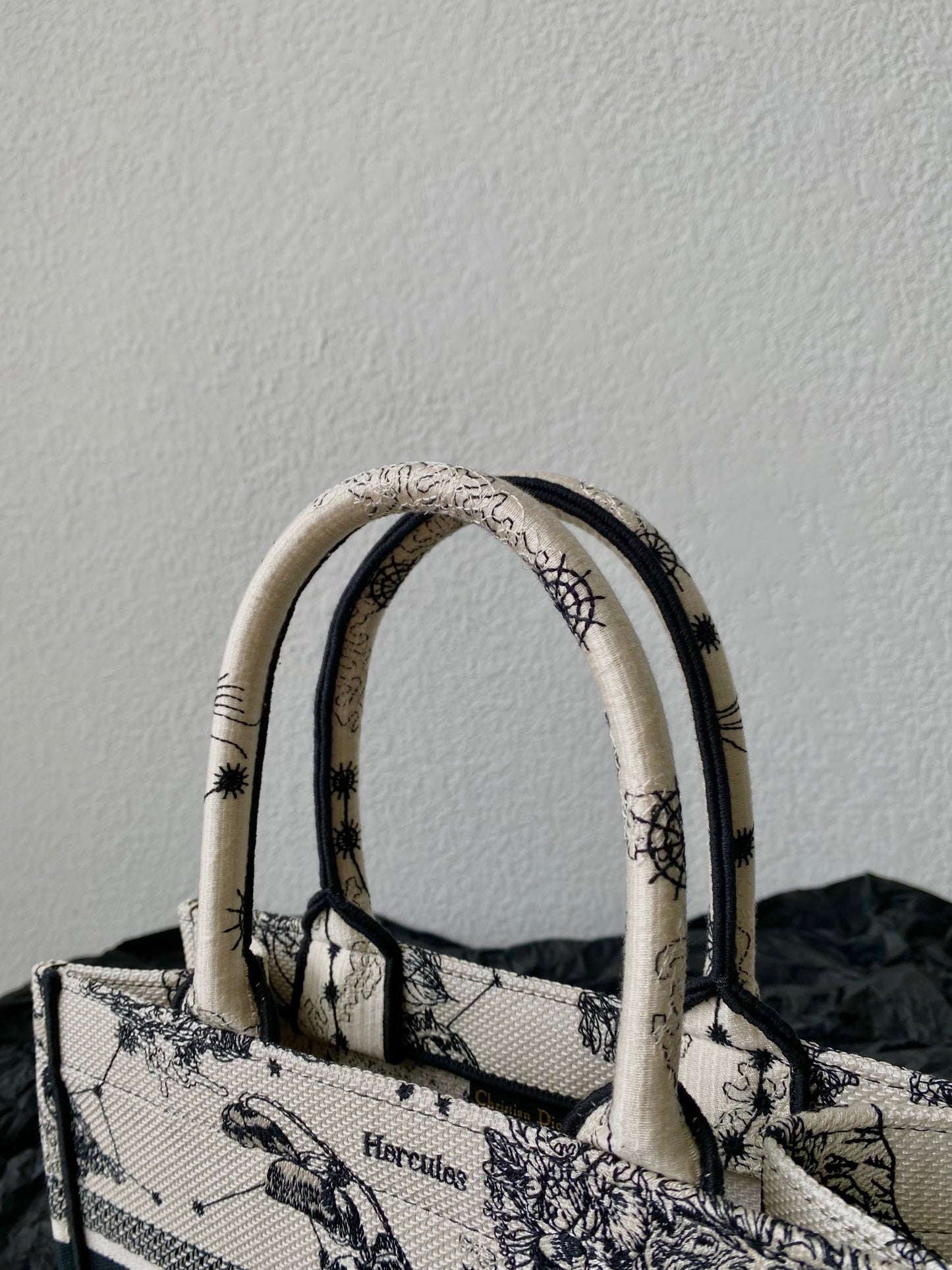 Dior (Book tote)