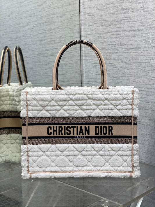 Dior (Book tote)